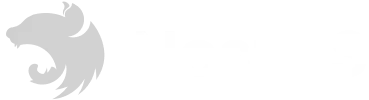 nest js